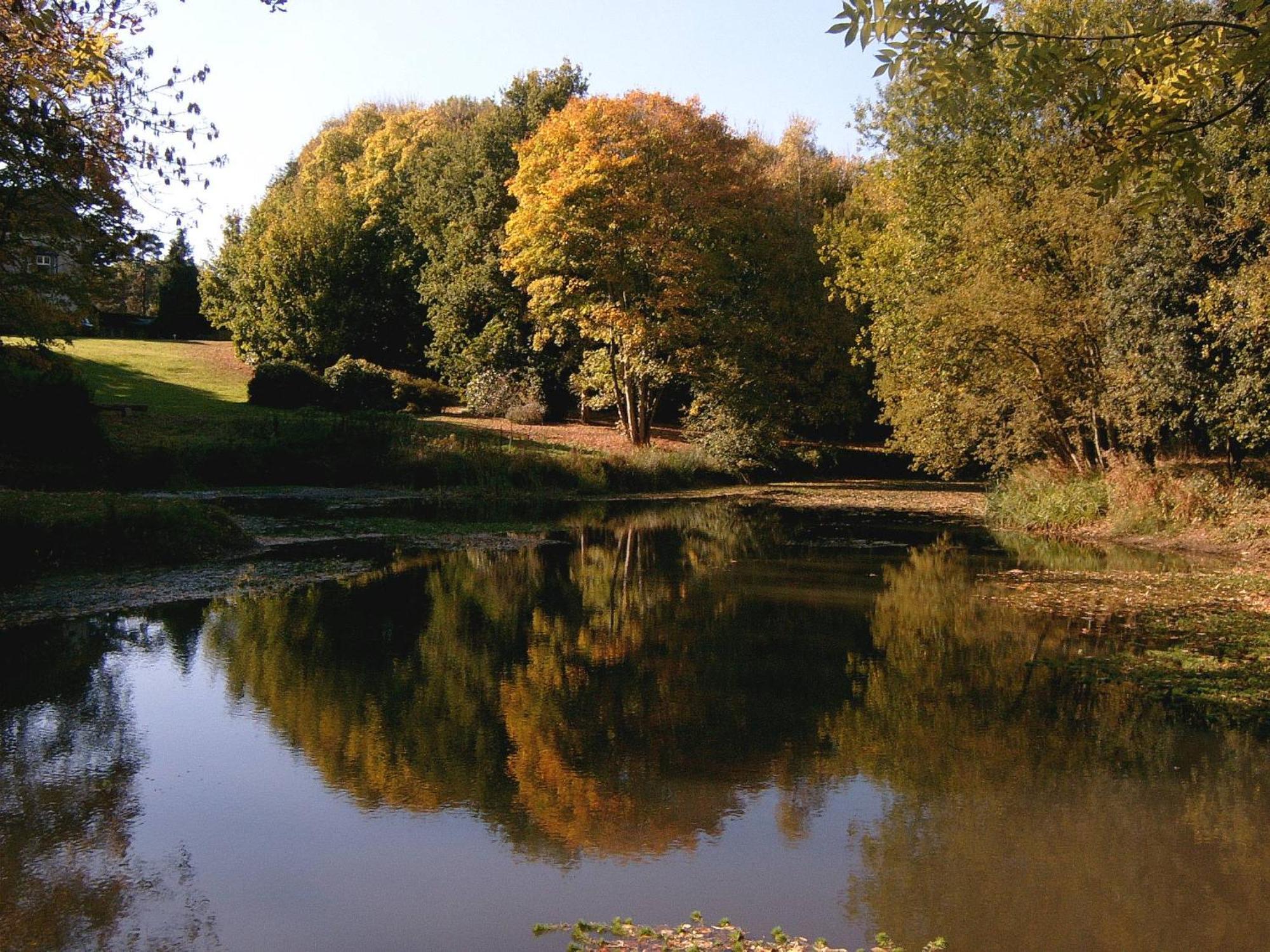 Шале Glyndley Manor Полгейт